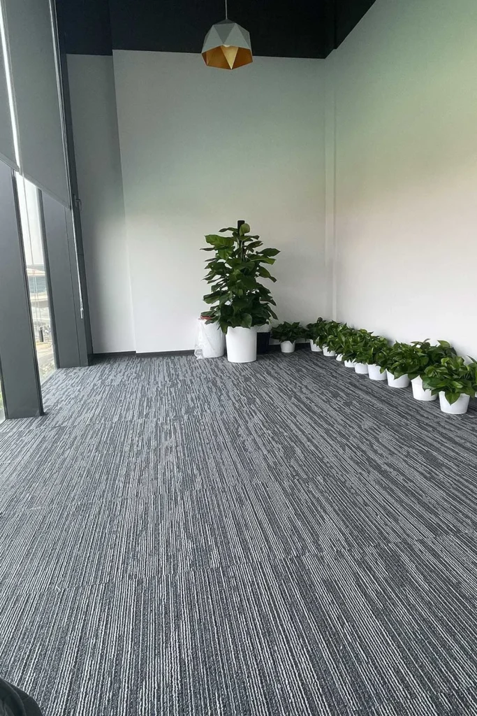 Beijing Jingyin Project